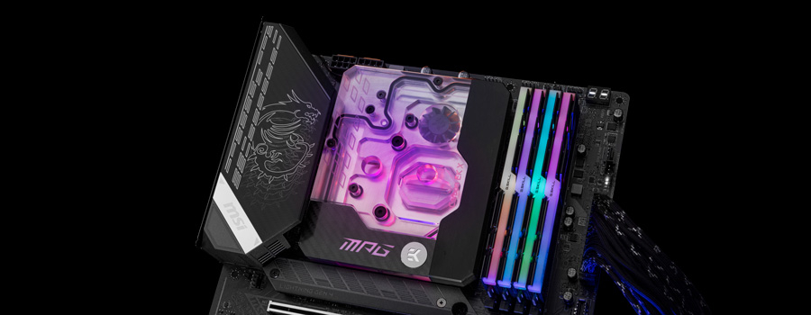 MSI MPG Z590 Carbon EK X motherboard + monoblock combo