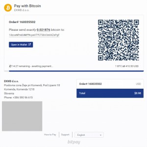 bitpay_process