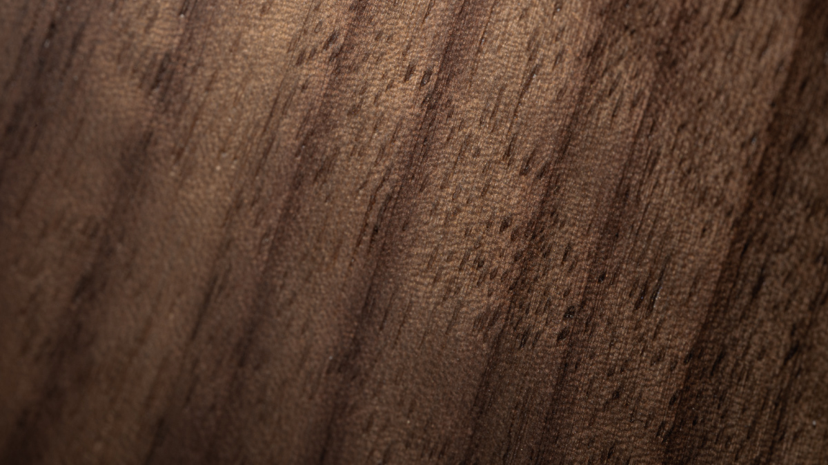 EK-Quatnum_Velocity_Lignum_Edition-Walnut_Newsletter_PR7